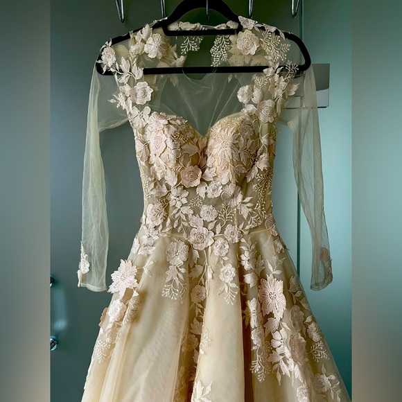 Cream A-Line Gown with Illusion Sleeves and Floral Appliqué - Picture 1 of 4